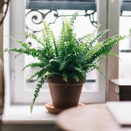 Appartement Boheme Et Cosy Au Coeur De *